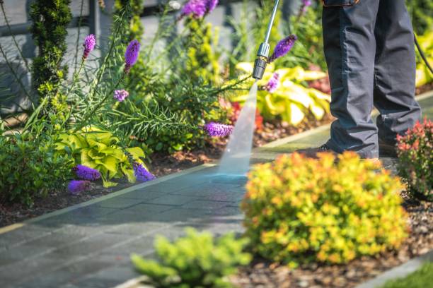  Huntsville, AL Pressure Washing Pros